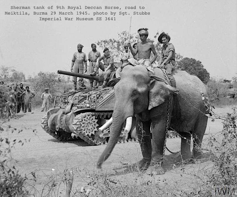 4. Since medieval times wild elephants have been captured in Burma for moving heavy loads, transportation & warfare. They're not really domesticated (not selectively bred.) Elephants served in WW2 Burma & Kachin Independence Army elephants still carry military supplies in north.