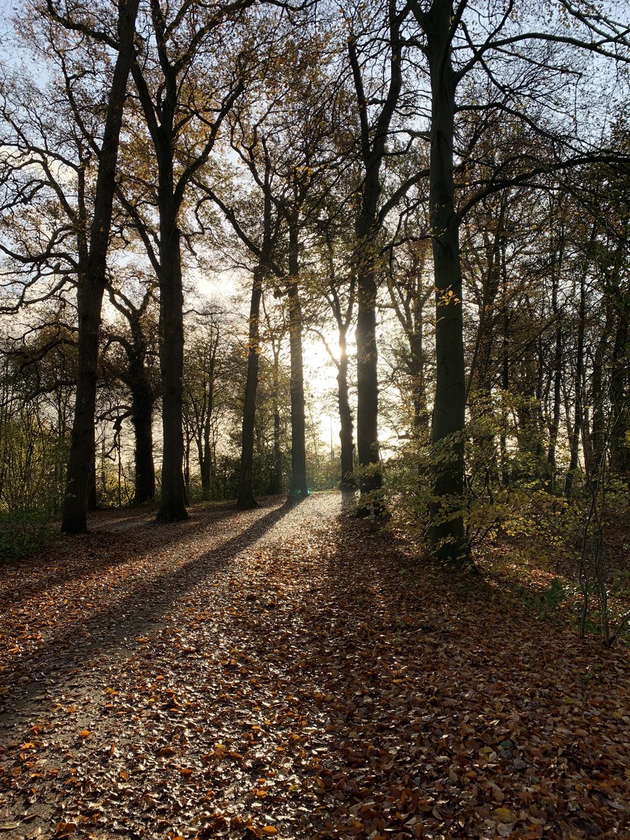 Ochtendwandeling bij het Engelse Werk Zwolle 🍁👌🏻