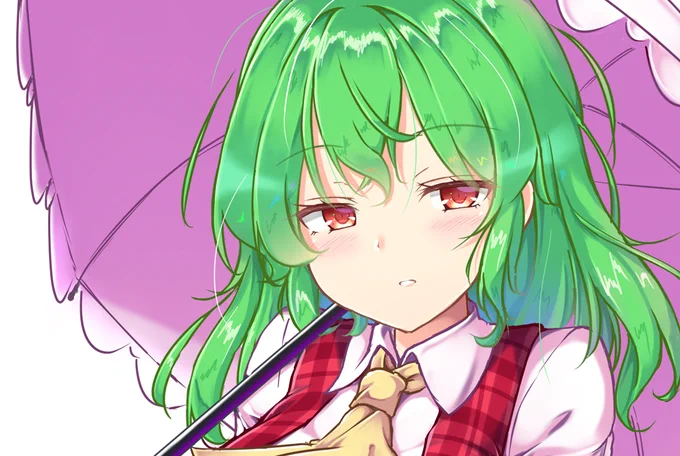 東方projectキャラクター紹介№1
キャラクター名:風見幽香
キャラクター解説:マイワイフ 