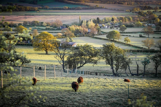 CLA President Mark Bridgeman has responded to some of the key aspects that will affect rural businesses, following the PM's announcement of his ten-point plan for a green industrial revolution. Read more: bit.ly/3pGTWxq
