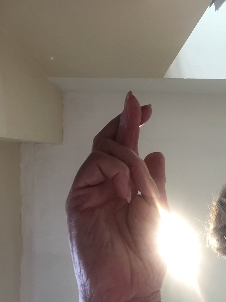 Sarah Fortes Mayer tweet media