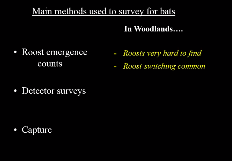 _BCT_'s tweet photo. Surveying in #woodlands is challenging: roosts are very hard to find and #bats often switch roosts; bat calls are also quieter so the use of acoustic lures can be helpful #BatWoodlandSymp https://t.co/wgq086vPKz