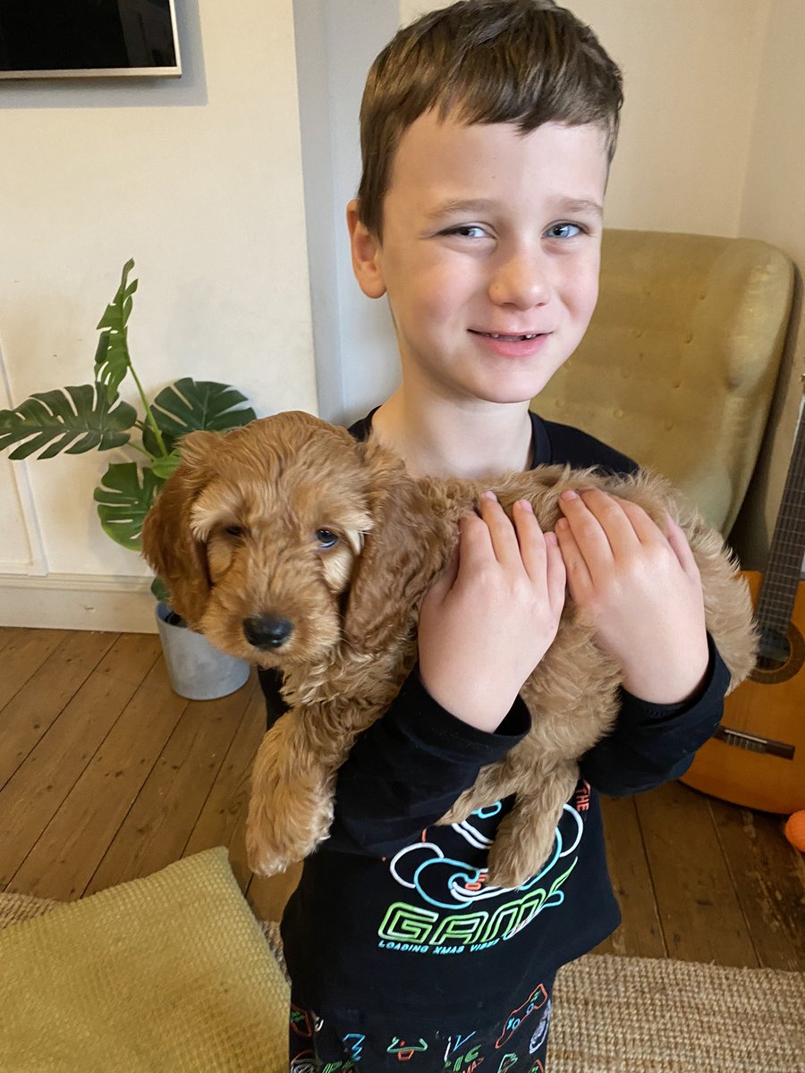 JenniferWathe10's tweet photo. He is missing his friends but has a home Buddy,  Chester 💙 https://t.co/Y5YnbtOCqN