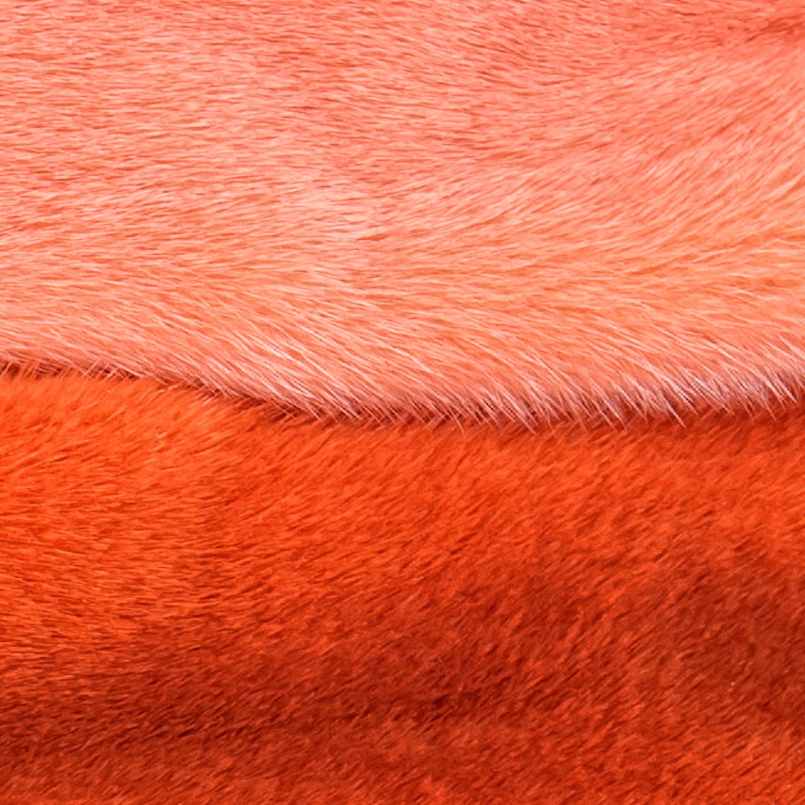 kastoriafurfair's tweet image. Mink colors

#kastoria #kastoriafurcity #furstagram #ootd #ootn #outfitoftheday #wiw #instastyle #fur #womenswear #tbt #whatiwore #fashion #style #furfashion #kastoriafurfair #fashioninsta #fashiondaily #шубы #шуба #мех #мода #kiff #fashionshow #minkfur