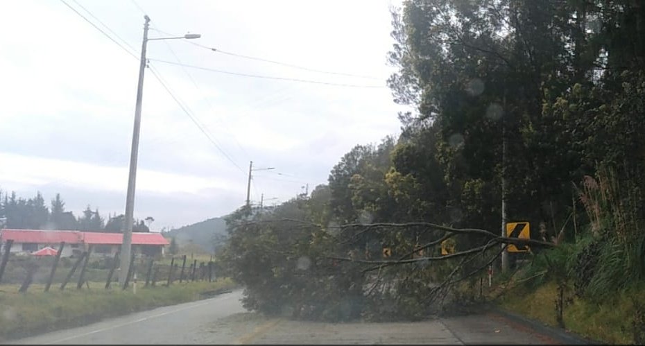 Subz6M's tweet photo. #MTOPInforma: un árbol desprendido obstruye un carril en el km 22 de la vía Cuenca-Girón-Pasaje.
Se moviliza personal para la limpieza. Conduzca con precaución. https://t.co/8j9fHx90yE