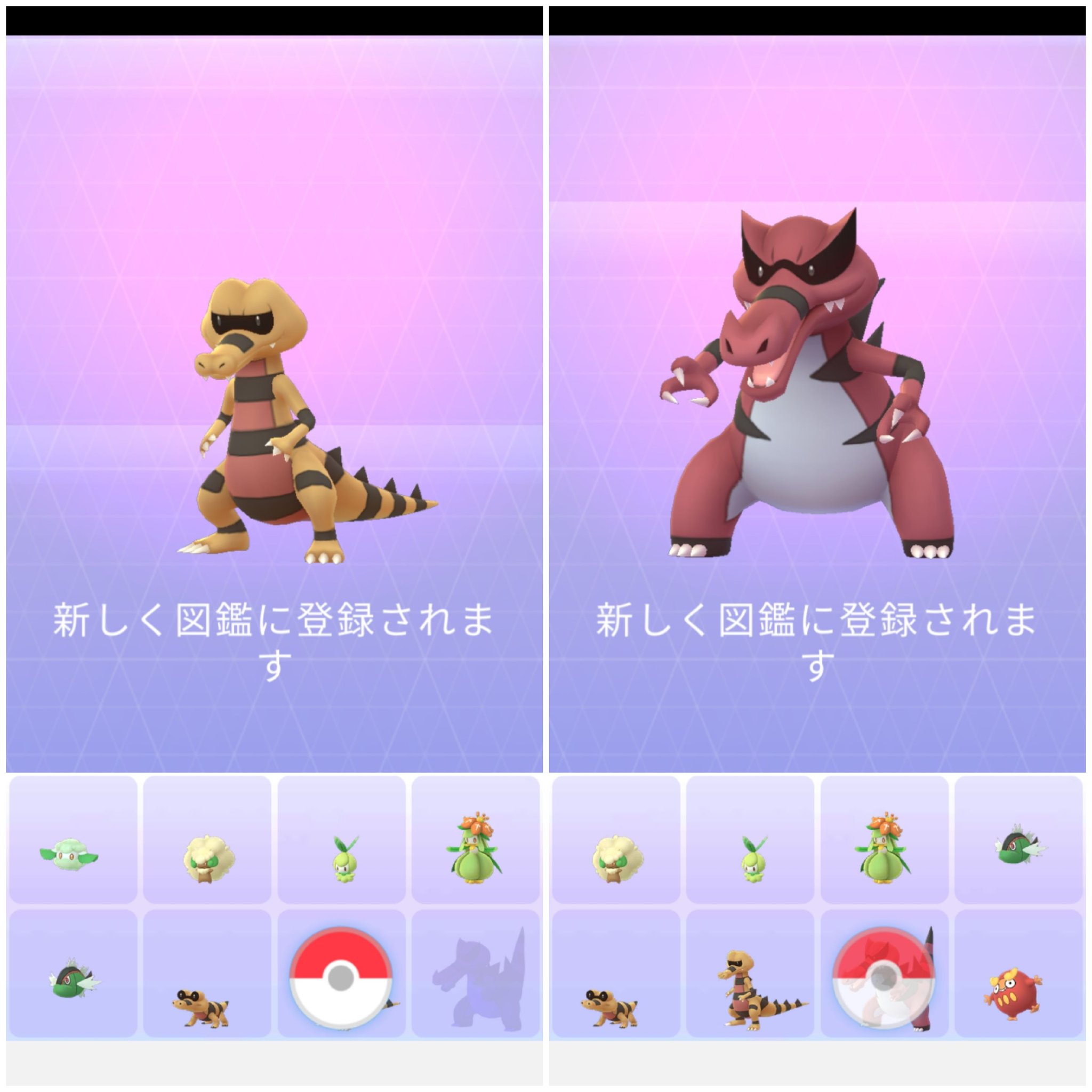 Amazinghisa 今日のポケモンgo活動1 期間限定の遠距離交換で東京のフレンドさんとキラ交換しました ありがとうございました W メグロコの高個体きたので 進化 させました ポケモンgo メグロコ バルチャイ レシラム キラ交換 ワルビル