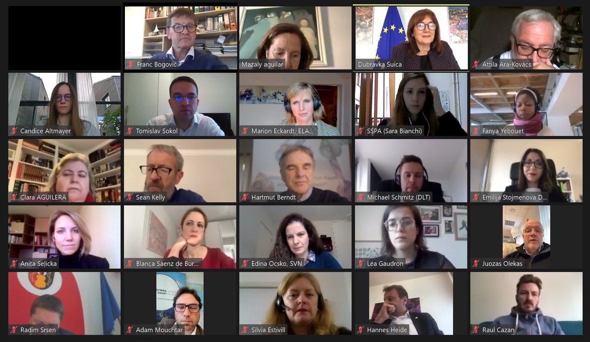 Pleasure to address <a href="/IntergroupRUMRA/">RUMRA & Smart Villages Intergroup</a> on the topic of #RuralVisionEU. With the help of green &amp; digital transitions, transformation potential of rural regions is much more ambitious. This vision will only be a success if we are all on board, working together.