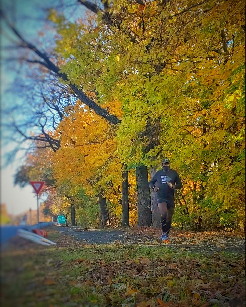 runningmerlin's tweet photo. #RADrabbit #runinrabbit   its getting cold out here https://t.co/A4vR3G4wxL