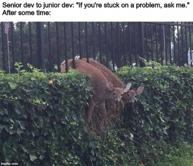 nixcraft's tweet photo. Ouch truth always hurts ;) https://t.co/i9D4a1g5T9