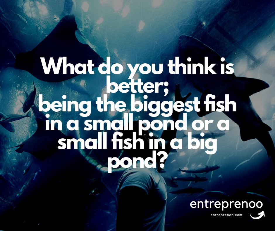 entreprenoo's tweet photo. #CareerChange #Motivation #Inspiration #startup #entreprenoo #startup #business #entrepreneur #entrepreneurship #marketing #success #smallbusiness #motivation #digitalmarketing #startuplife #startups #businessowner #money #branding #inspiration #entrepreneurlife #startupbusiness https://t.co/Ob0jT0rD6p