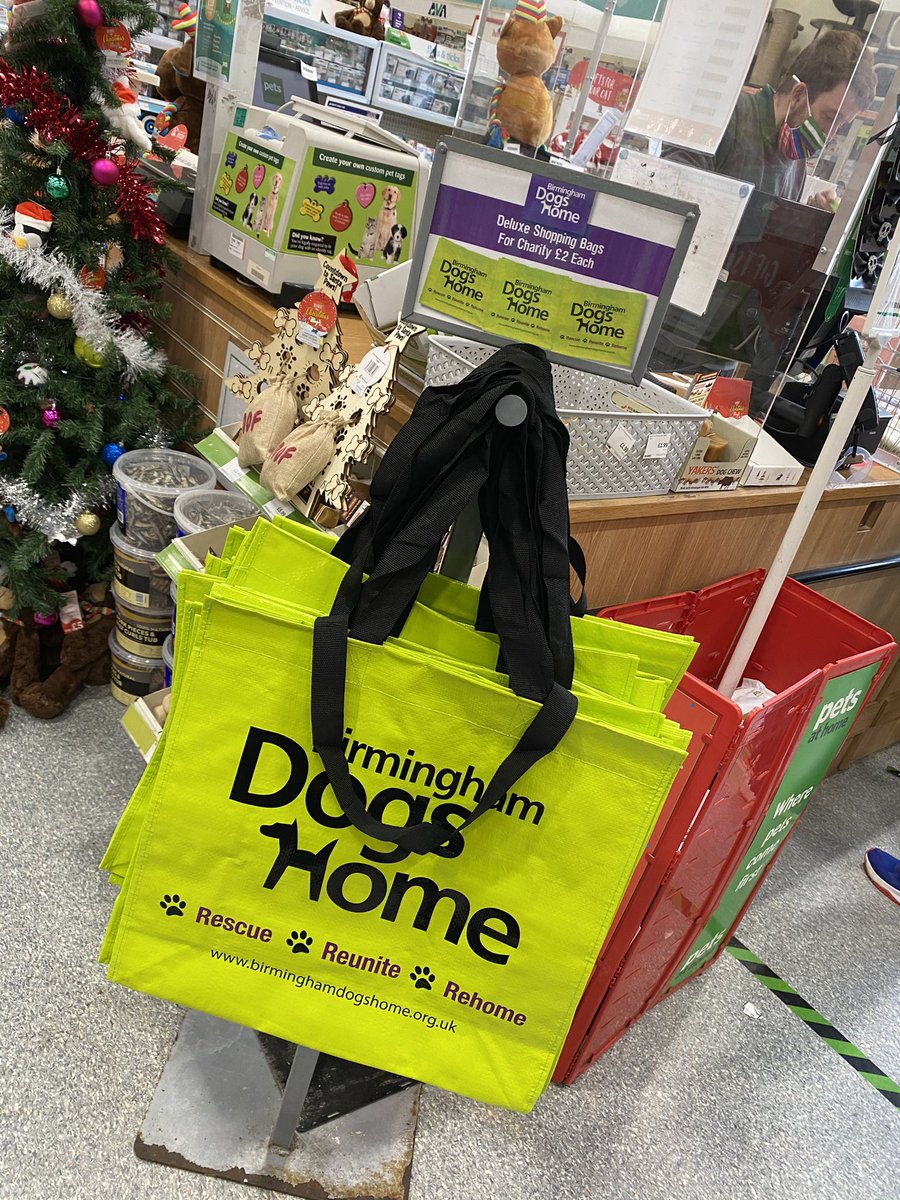 Birmingham Dogs Home tweet media