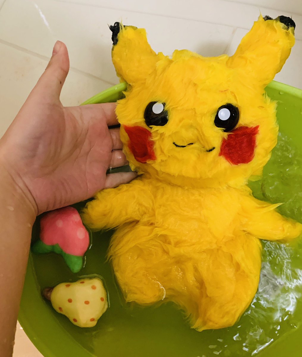 琴春 改めて載せます フーアーユーのピカチュウ かわいいぞー 1枚目 毛玉 2枚目 お風呂 3枚目 乾燥 4枚目 トリミング後 Whoareyou フーアーユー