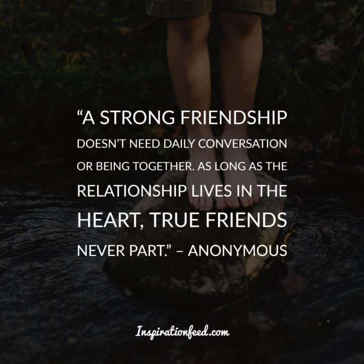 MagickCat75's tweet photo. True and real friendship
#TranscendsTime #TranscendsDistance https://t.co/tPBKS0EJB5