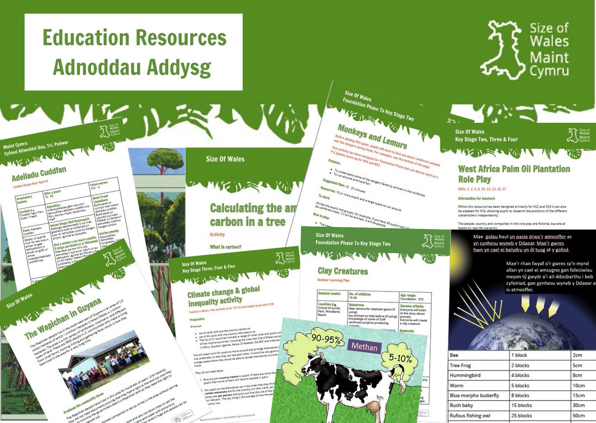 sizeofwales's tweet photo. Have you tried our Education Resources such as Life Size - How big is the rainforest animal? Finding out more about rainforests, measuring, describing. Available here: https://t.co/GqVD0FJ2cv #SoWDailyActivity #education #homeschooling https://t.co/qhWvczEjFH