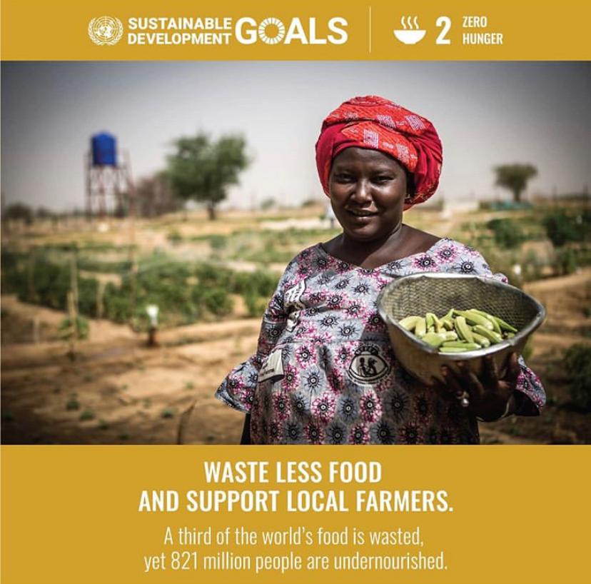 FoodallianceNG's tweet photo. Throughout November, @UN is raising awareness for Sustainable Development Goal 2: Zero Hunger.

#FoodBankAlliance #ZeroHunger #WorldFoodProgramme #FoodBank https://t.co/299jU2dSvQ