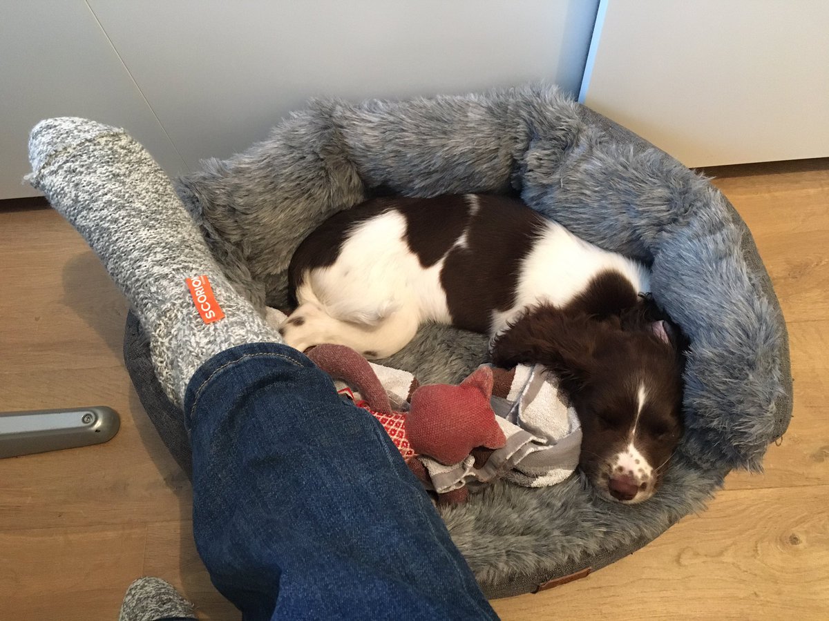 Iris Jansen tweet media