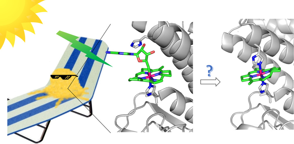 iqf_csic's tweet photo. #IQFRPaper The Photoactive Excited State of the B12-Based Photoreceptor CarH @JPhysChem B @ACSPublications 

Collaboration with @MichiganChem @UMBiophys @UmichPhysics @SLAClab @pulse_institute @UMU 

#XrayAbsorptionNearEdgeSpectroscopy #LightAbsorption 

➡️https://t.co/3nzjSVuHXn https://t.co/eSUffpXMCR