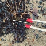 Photo by PlasticFreeScotland (@WeePlasticFree)