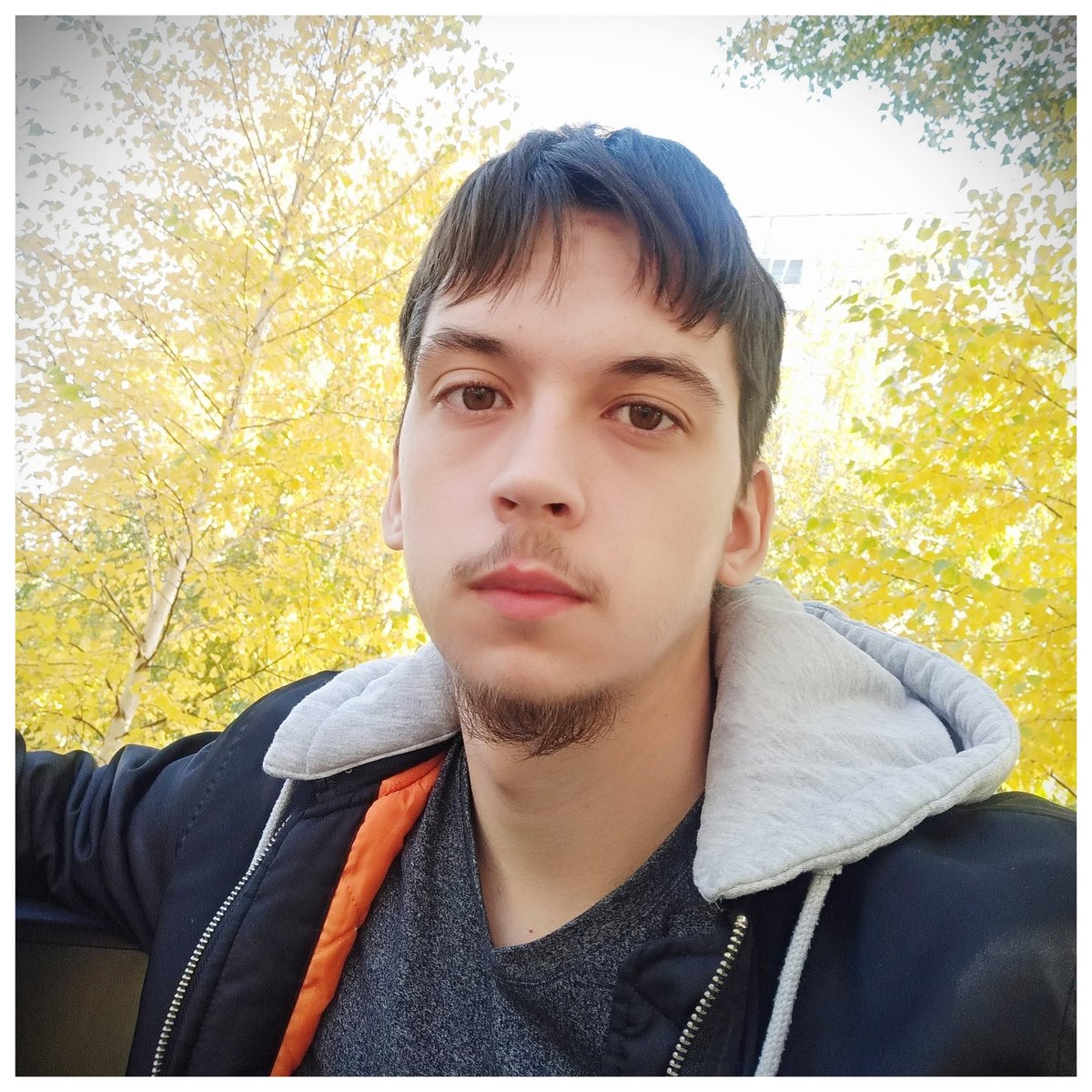 Kireev Dmitriy (@kireevofficial) on Twitter photo 