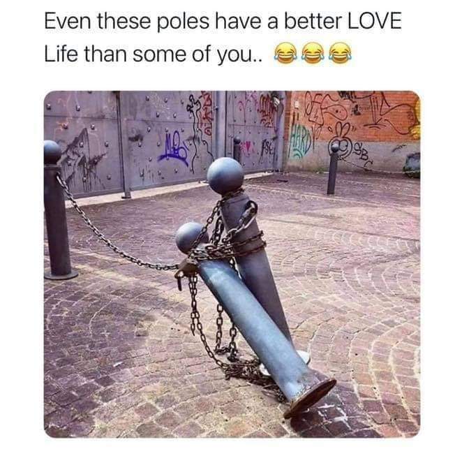 The Basher Firstthingfunnies On Twitter Lovelife Love Poles Memes Meme Firstthingfunnies Give Me A Retweet And A Follow Https T Co Mly2erqjbh Twitter