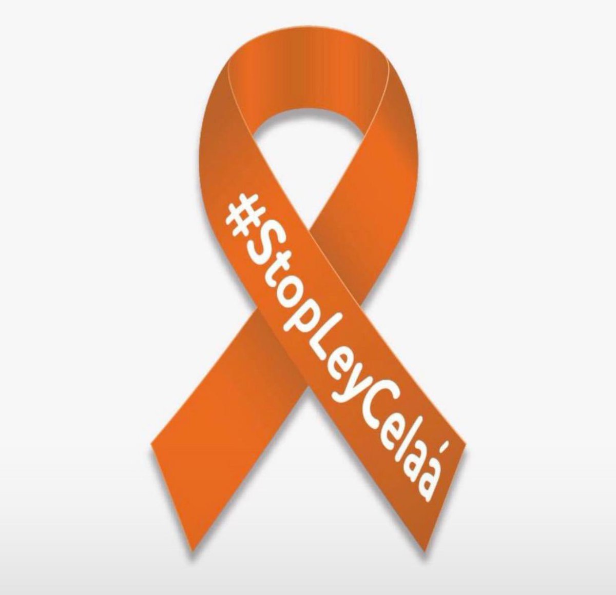 loretosord's tweet photo. Porque quiero seguir eligiendo cómo educar a mis hijos. #StopLeyCelaa https://t.co/P9EM2TtCzx