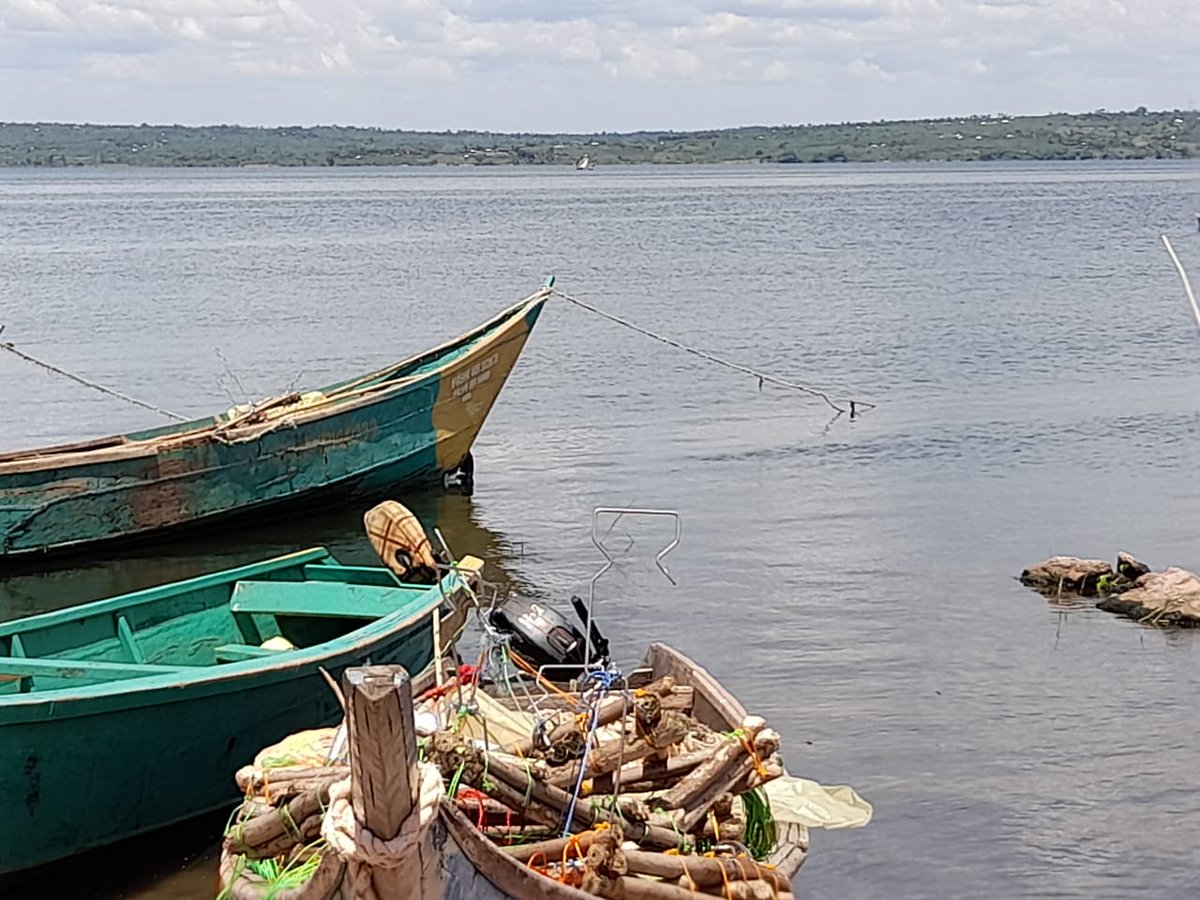 goldfishpr's tweet photo. #Ndeda island is one of Kenya's Uganda facing islands. Others are #Mageta, #Rusinga, #Mfangano...etal
Pop 7,000 Ndeda is a fisherman's paradise, serving Nairobi folk with a supply of #ngege, #mbuta #omena and others.
Visit @pikidigardens. Start your trip from a stately home. https://t.co/T5JR6eJe3T