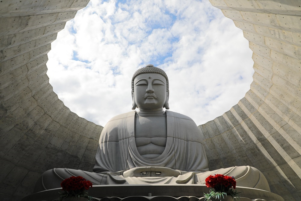 安藤忠雄 頭大仏 HILL OF THE BUDDHA