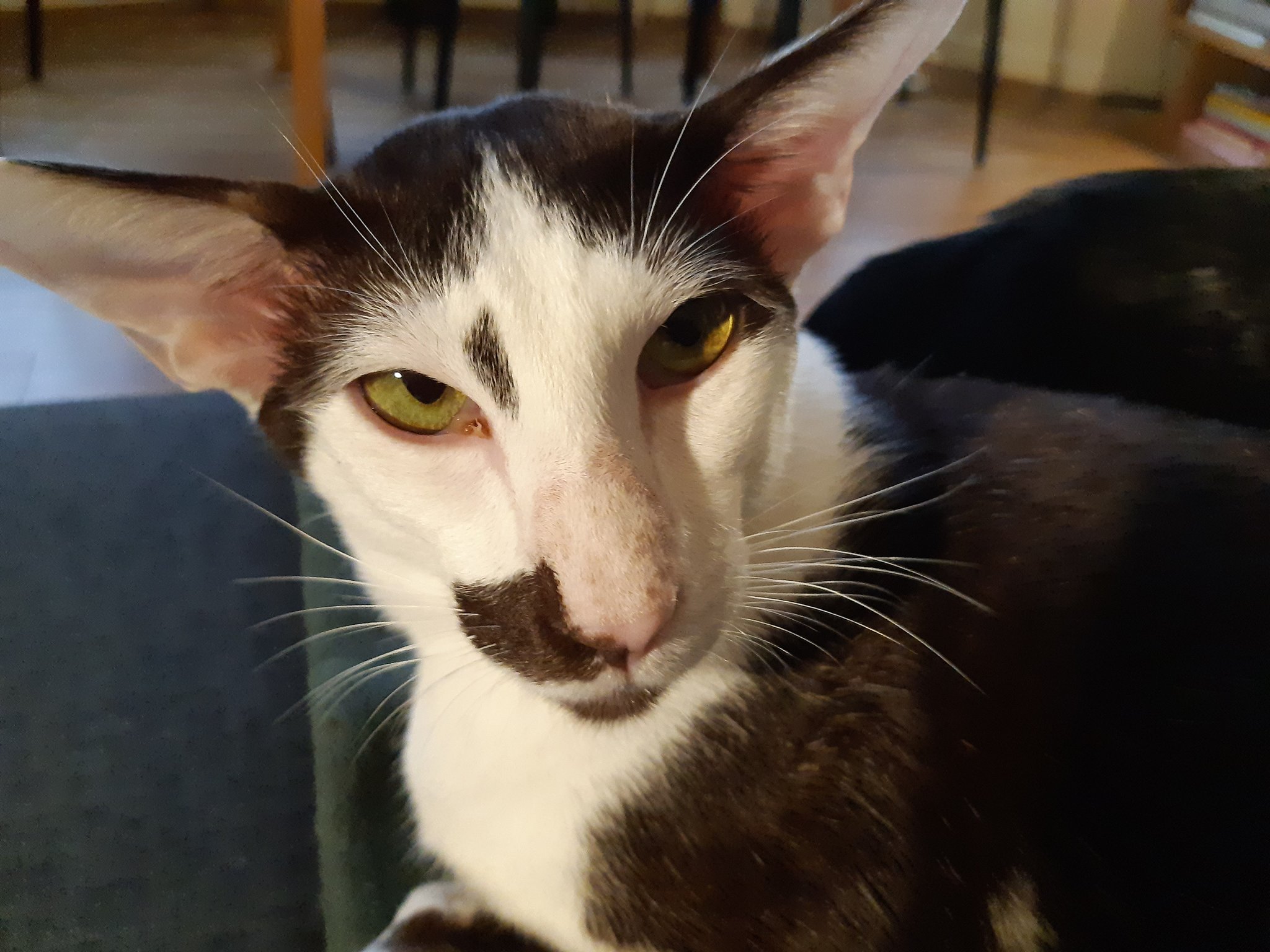 Muldoon wishes Happy Birthday to his doppelganger, Adam Driver.   