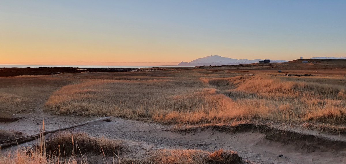 Daði Jörgensson (@psdadi3) on Twitter photo 