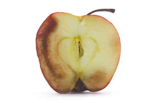 mejorconsalud's tweet photo. ¿Cuáles son las #consecuencias de #comer #fruta #oxidada?
https://t.co/67rZdIszmp https://t.co/LJOzqgonFT
