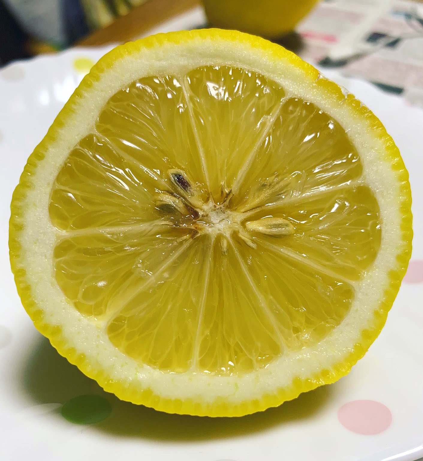 写真と絵 絵が上手すぎて どちらが絵かわからない 話題の画像プラス 写真と絵 絵が上手すぎて どちらが絵かわからない 話題の画像プラス