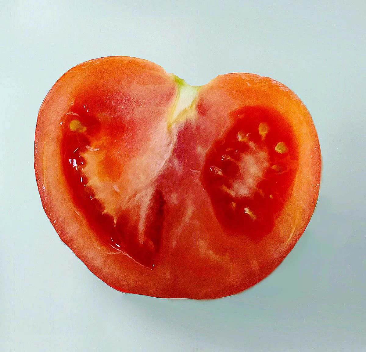 写真と絵。絵が上手すぎて、どちらが絵かわからない…。
