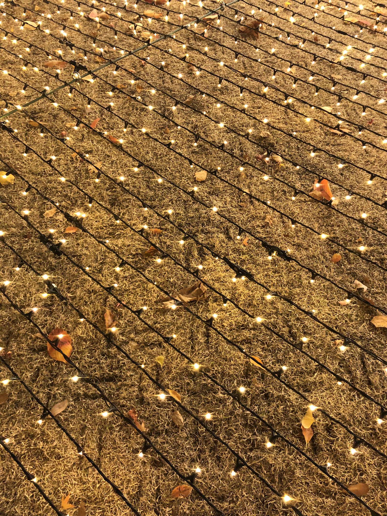 森宮隆 オクニョ