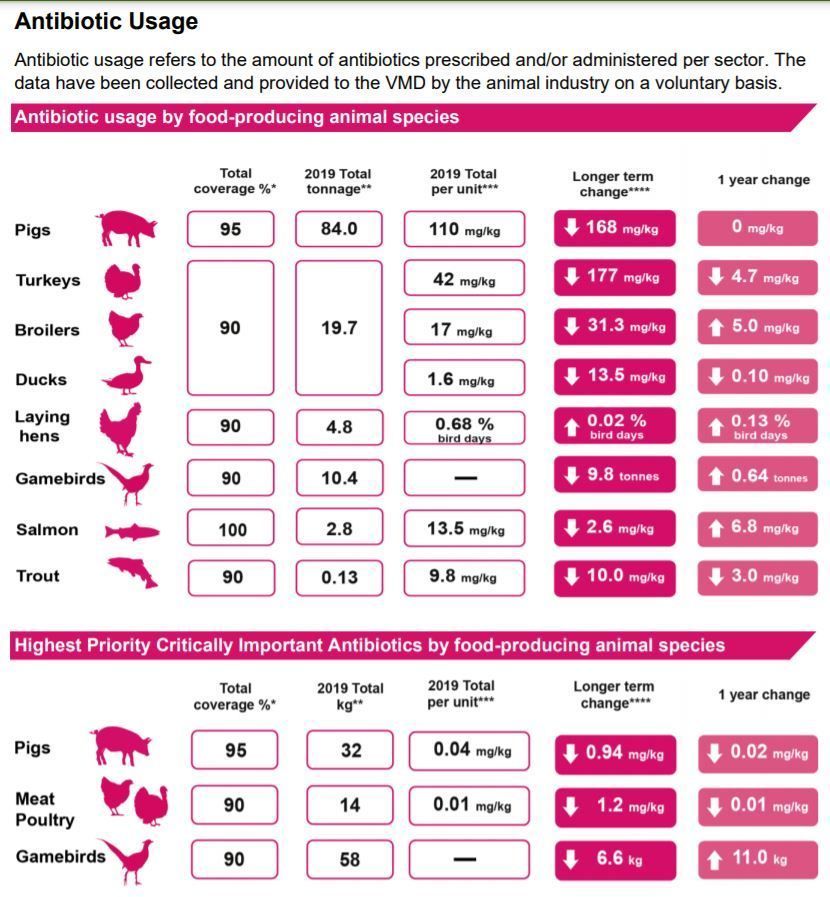 Andrew Singer tweet media