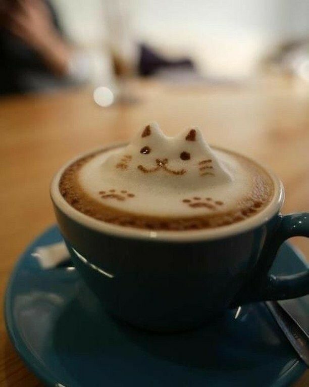 mamiplum's tweet photo. Good morning everyone ☕☕ Have a wonderful day,  read books and be happy 😊 

#morningcoffee #readbooks #behappy #happylife https://t.co/v3fKkCIOTT https://t.co/qZiUkgPPaQ