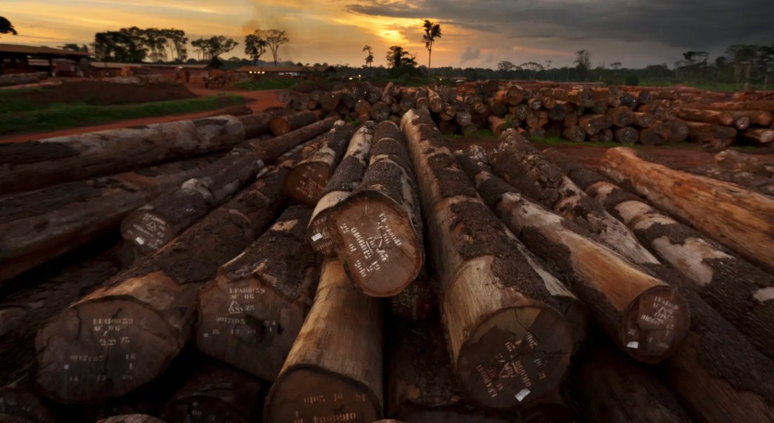 _YLNM's tweet image. "Infrastructure and #mining are probably the biggest threat to #forests."

How mining expansion (for renewables, EVs, digitalisation etc) imperils the #biodiversity that makes our #climate system work.

A just &amp;amp; viable transition must be #PostExtractive.

theguardian.com/environment/20…
