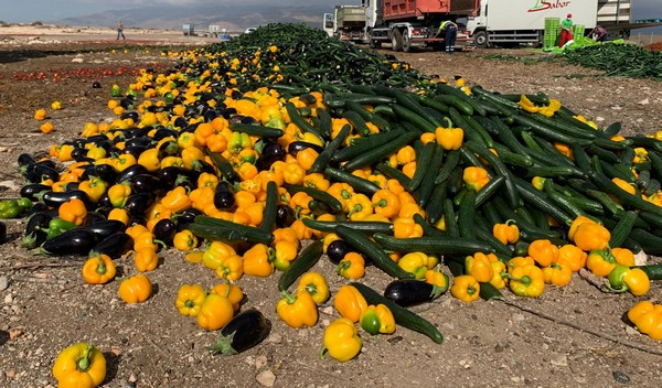 GeorgeMonbiot's tweet photo. Our food chains are a mess. Among many other reasons is that price risk is upstreamed by the retailers to farmers and growers. Here's what's happening this week in Spain, as a result. A shocking waste: https://t.co/uTeEmQ8bKu
