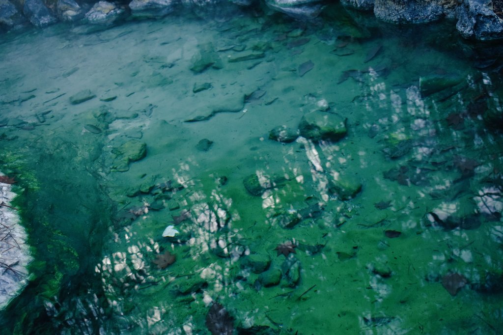 Ry 翡翠色あるいは花緑青 西の河原公園の水を覗くと宝石のように綺麗な緑色が広がっていた その中に沈む木の葉達は朽ちることなく時が止められたように感じられた キリトリセカイ 西の河原公園 翡翠 花緑青 川 水中 紅葉 木の葉 時 宝石 草津