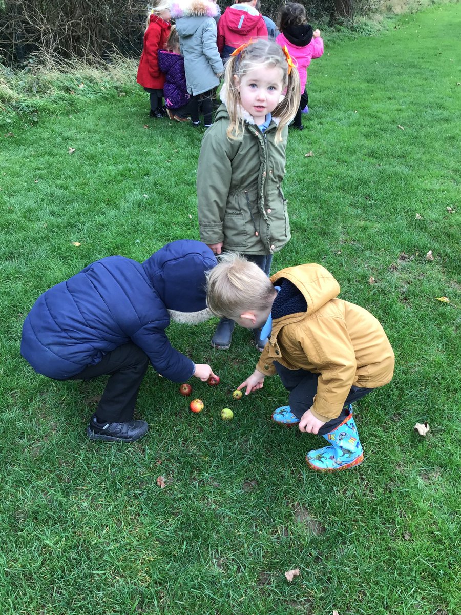 BraeburnPrimary's tweet photo. Team Bears emmersed in @BraeburnPrimary #forestschool #outdoorlearning Crunching and throwing #autumn leaves, practising #maths skills; #counting and #shapemaking #naturalmaterials. @eboractrust pupils maximising learning opportunites @WhiteRoseMaths @EarlyExcellence @BraeburnEY https://t.co/3a7U9M0Lu7