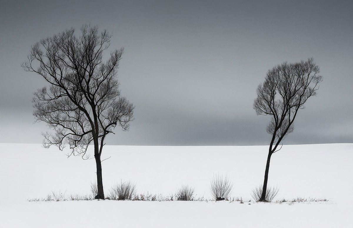 rvoneinem's tweet photo. Heiko Gerlicher  ❄🌳❄ https://t.co/x2dtm0aPpp
