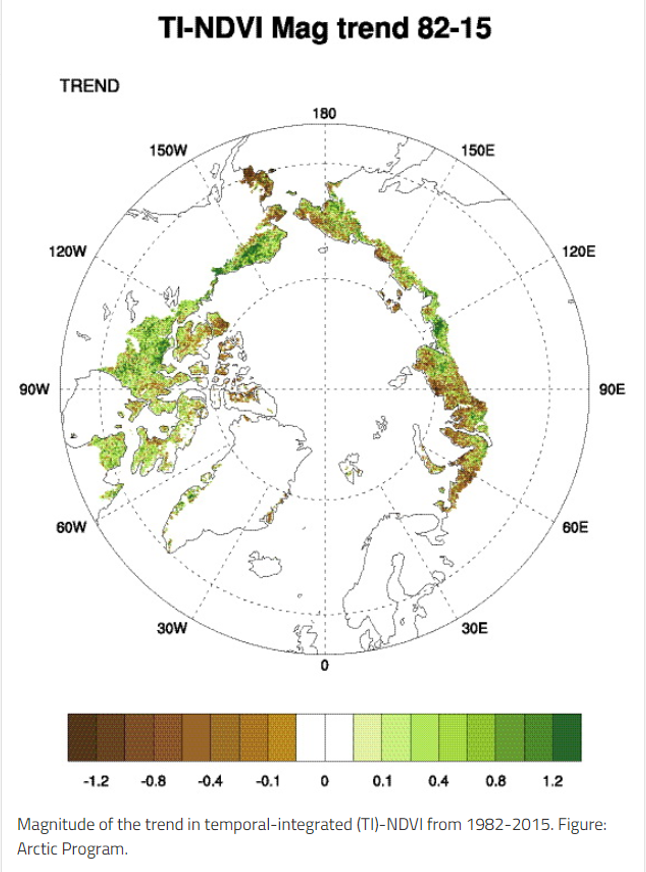 JasmineRoha's tweet photo. 1/4 #ACCEconf20 #ACCE_Geo For over half a century the Arctic has been greening 🟩. Trend climate change📈 boosted plant growth🌎. Now extreme events are causing plant death 🍂🥀and driving arctic browning 🟫 #climatechange https://t.co/rngz7QjFXm