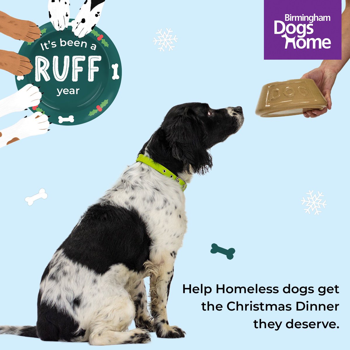 Birmingham Dogs Home tweet media