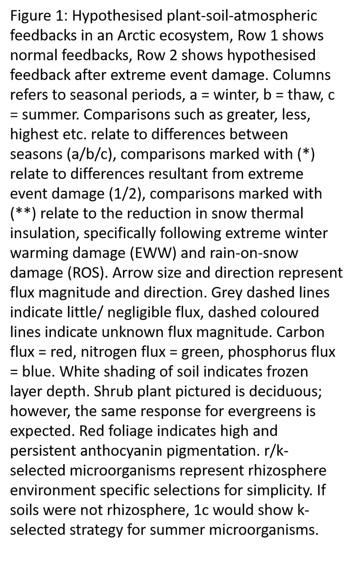 JasmineRoha's tweet photo. 4/4 #ACCEconf20 #ACCE_Geo 1⃣ without labile plant carbon microbes could switch to eating recalcitrant soil carbon. 2⃣ no plant competition could mean more N + P for microbes🦠 3⃣New soil conditions ➡️ new microbial community structure🍄🦠 4⃣ reduced soil respiration https://t.co/qQ4K4XvOxj