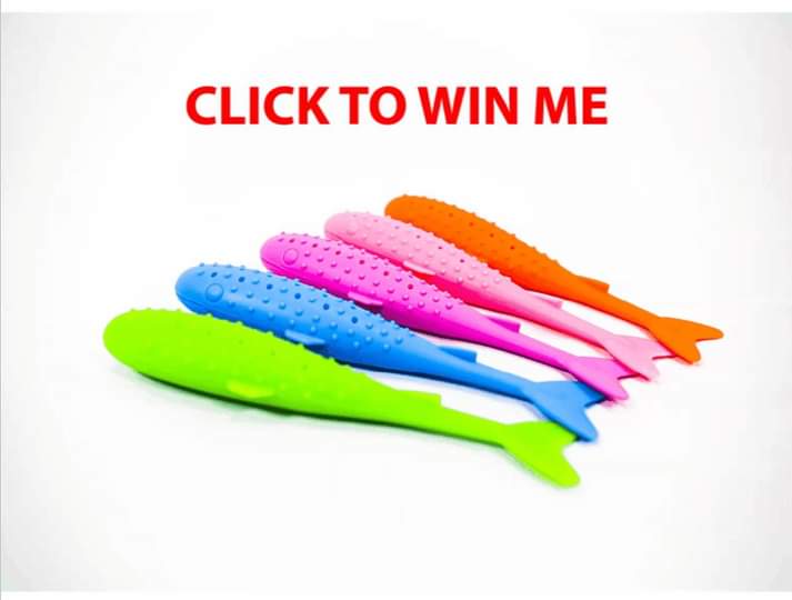 KittyCafeUK1's tweet photo. 🎉WIN CAT TOYS FOR YOUR CAT🎉
Be in with the chance of winning a full set these catfish toys for your cat. Great for play and health! 
To enter, just click the link below for your chance to win! Good luck 😁
https://t.co/ClXuM96pxR
#catproduct #cattoy #dreamies #giveaway #prizes https://t.co/1GUBO4DtWQ