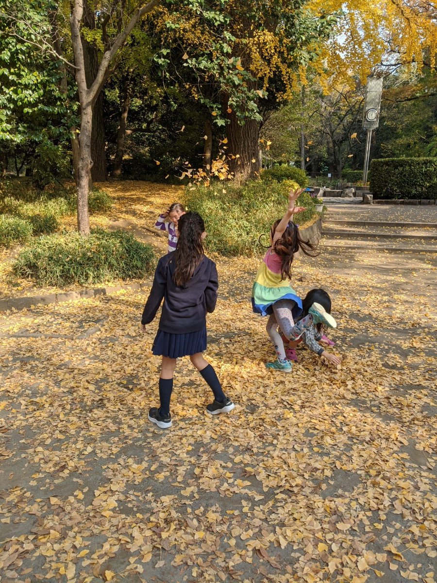 MSTokyoGinkgo's tweet photo. Ginkgo Joy!! https://t.co/vHvkBZzMSR