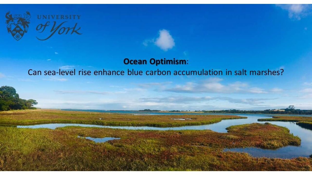 ocean_luce's tweet photo. We hope a deeper understanding of climate change impacts can improve the effective management of salt marshes for blue carbon. So, is sea-level rise a major driver of blue carbon accumulation &amp; storage in salt marshes around the world? Stay tuned... [4/4] #ACCEConf20 #ACCE_Geo https://t.co/mkj8bxOGvi