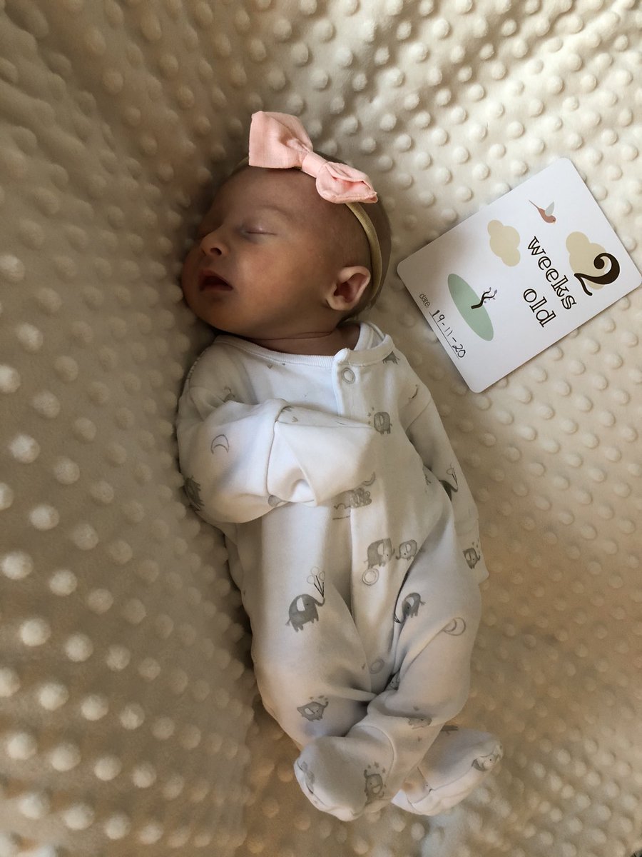 lewisrachael84's tweet photo. 2 weeks already! #2weeksold #prembaby #tinybaby #borninnovember #bornin2020 #babyspam https://t.co/ZZgCexHGIh