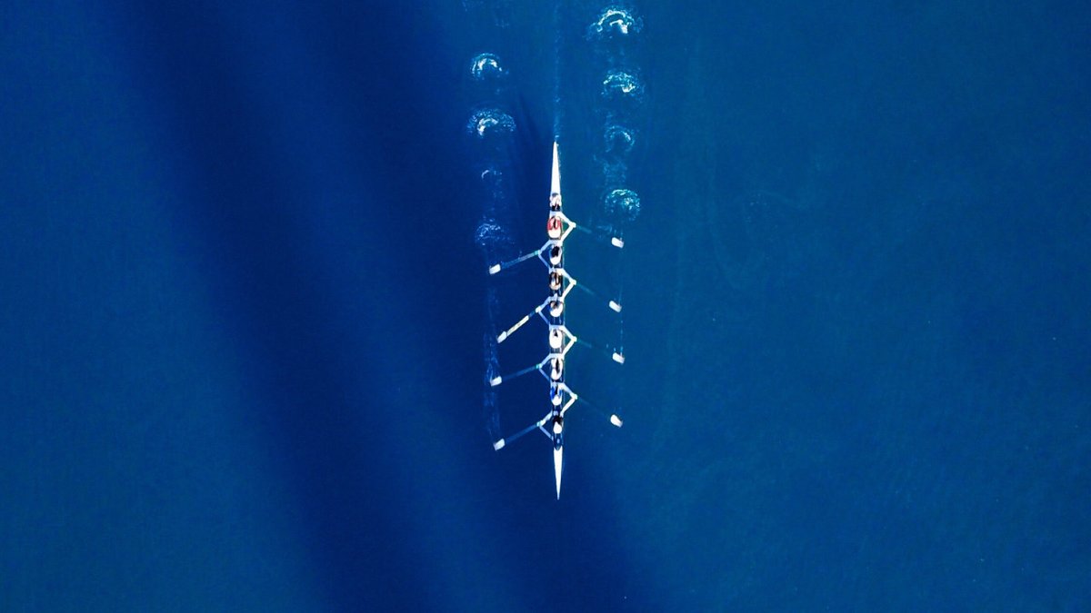 La Asociación de la Creatividad Transformadora continúa sumando fuerzas a su plan estratégico: La Despensa y Mi Querido Watson se unen como nuevos socios. <a href="/AcreatividadT/">Asociación de Agencias Creatividad Transformadora</a> @agenciaMQW <a href="/ladespensa/">La Despensa</a> || Más info aquí 👉🏽 rwhy.es/2HjE6rk