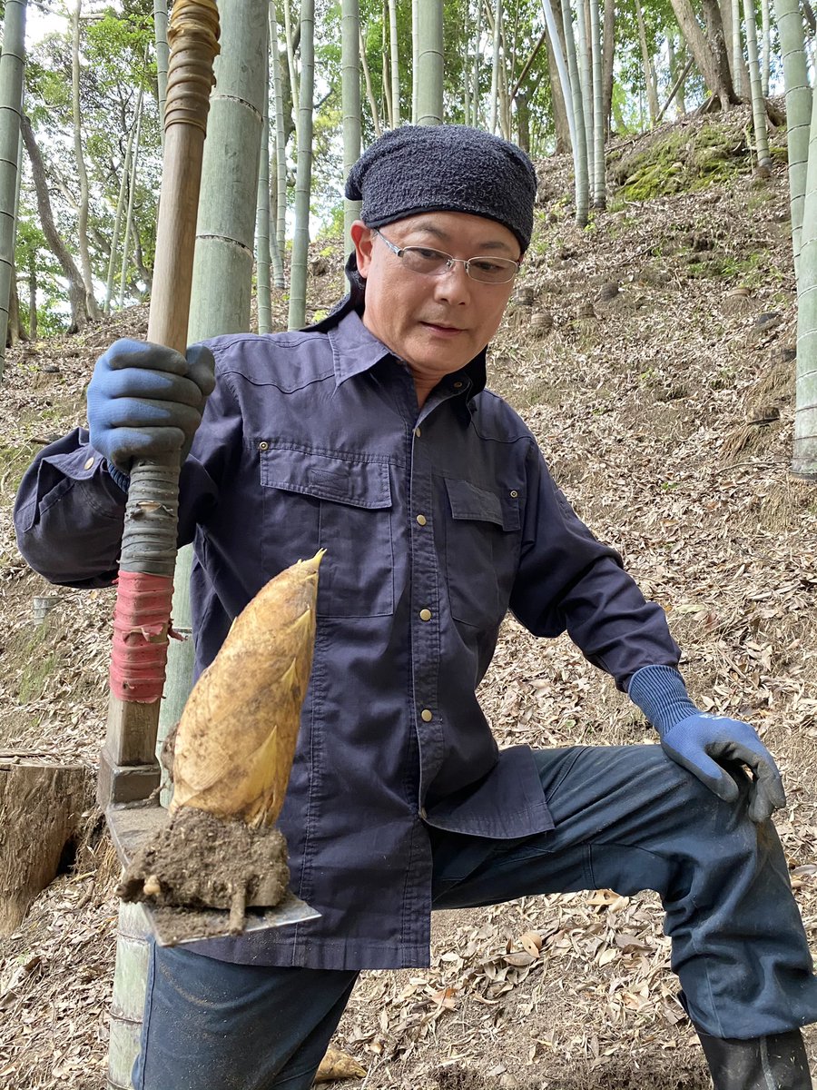 kimizukaFARM's tweet photo. いよいよ本日から今期の筍掘りがスタート❗️

小春日和のなか、イノシシのごとく鼻をブヒブヒ鳴らして竹林中を探しまわりました。

すると！あちこちに地面を持ち上げている筍を発見✨
まだ11月というのに…
なんだか季節を勘違いしそうですね😅 https://t.co/WoHh836Ue0