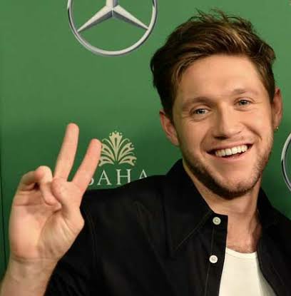 Niall Horan and Daniel Seavey as each other ; a thread.